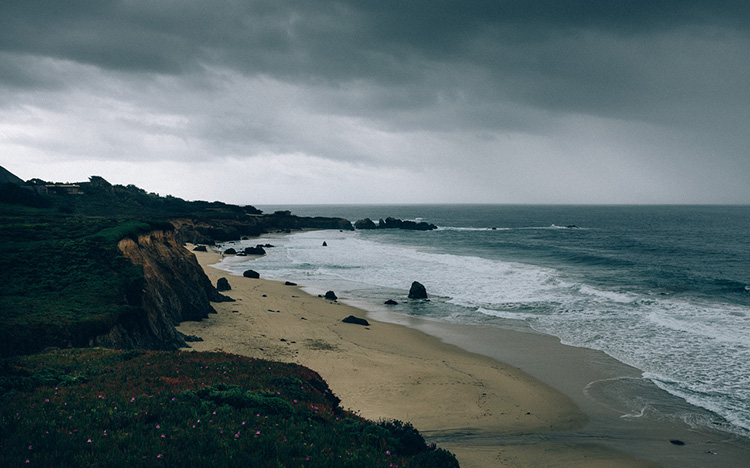 云呼讨债神器软件